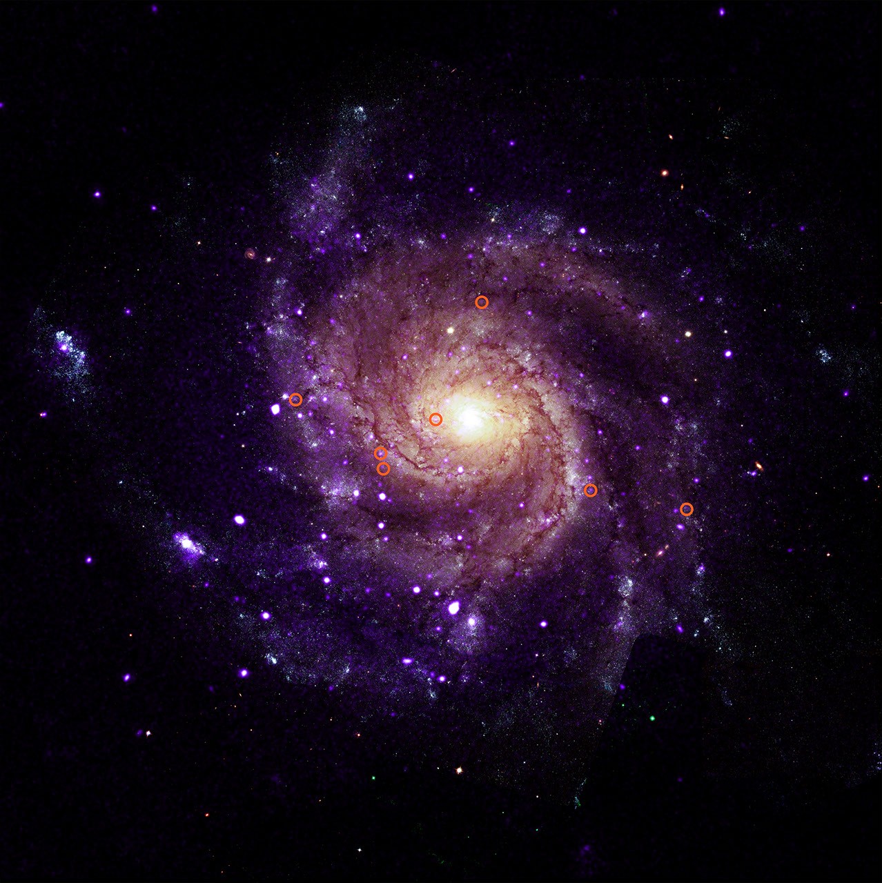 Composite view of spiral galaxy M101 with circles marking unusual low-energy X-ray sources